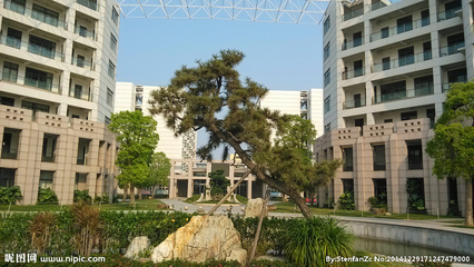 软件学院