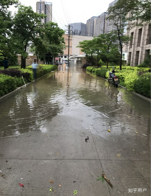 泉州师范学院软件学院怎么样