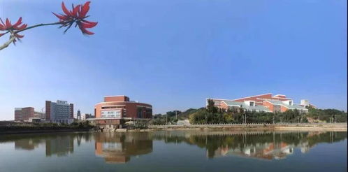 泉州师范学院2020年各专业录取分 附3 1 2选科要求