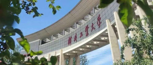 河北有多渴望好大学