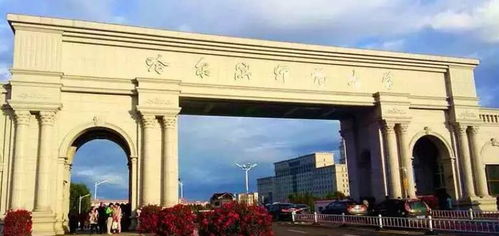 为中国点赞,为哈尔滨点赞 今日分享丨哈尔滨师范大学作品 下