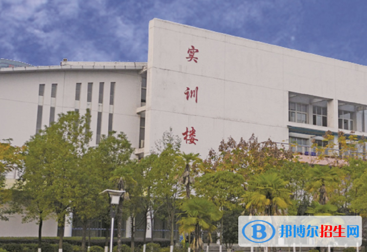 武汉软件工程职业学院2020年有哪些专业