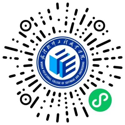 武汉软件工程职业学院2022年新生录取结果查询渠道和办法