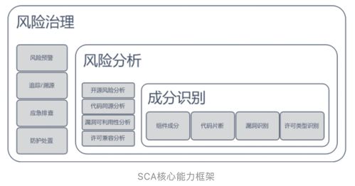 什么是软件成分分析 sca