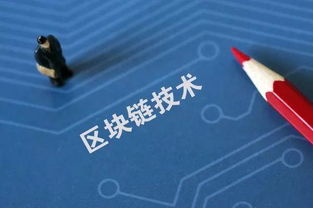 新湖恋软件学院 数字时代的创新摇篮